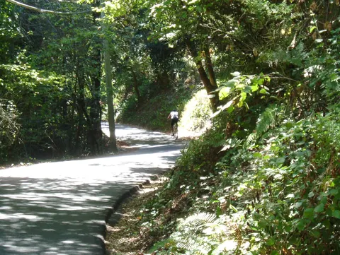 Coast and Forest Loop photo 2